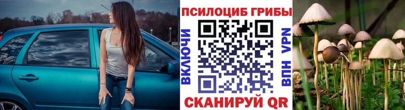 Псилоцибиновые грибы Psilocybine cubensis цены наркотик Гаврилов-Ям